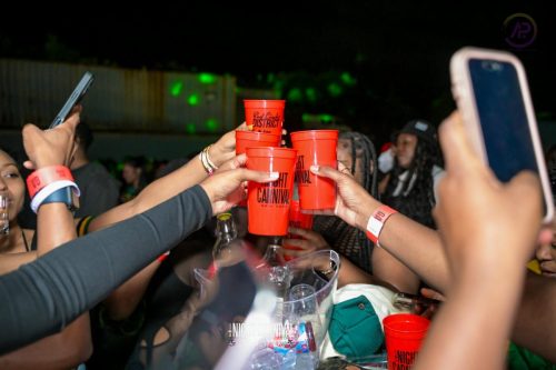 AP Productionz MSW 7068